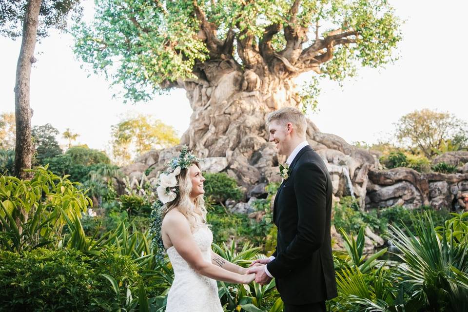 Animal Kingdom Wedding