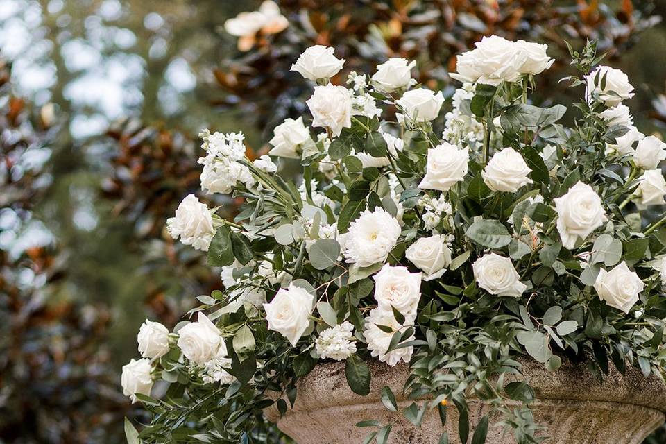 Boxwood Garden