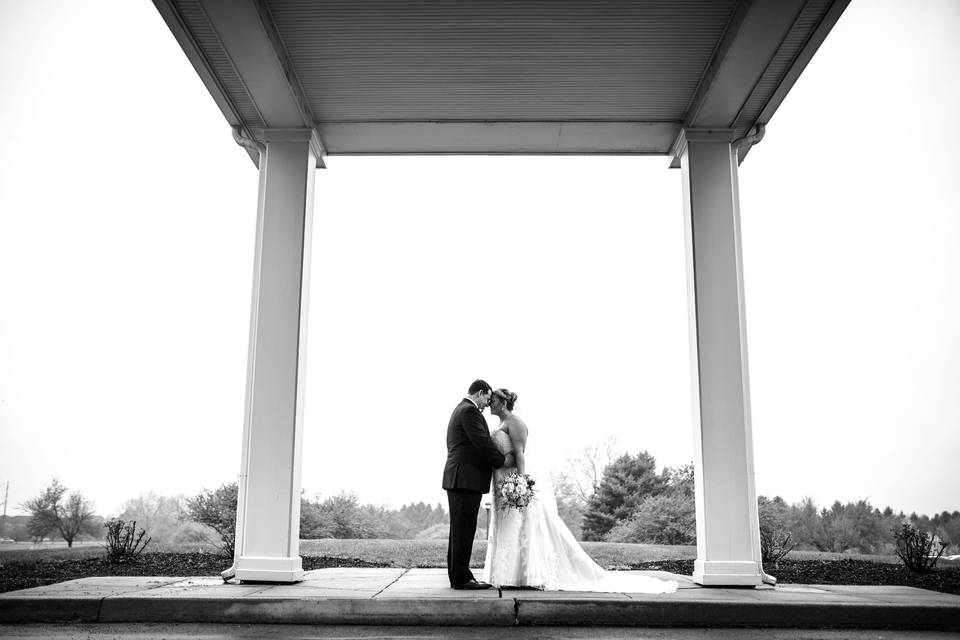 Portraits Under Portico