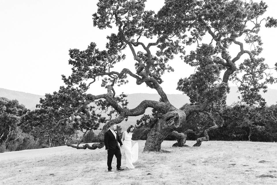 Holman Ranch Wedding