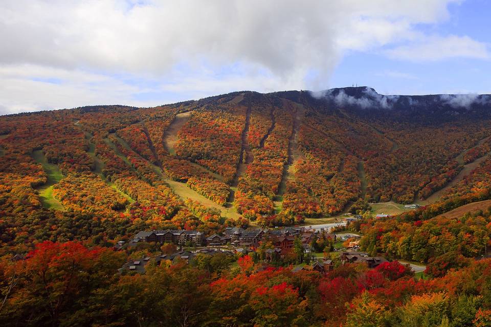 Fall hillside