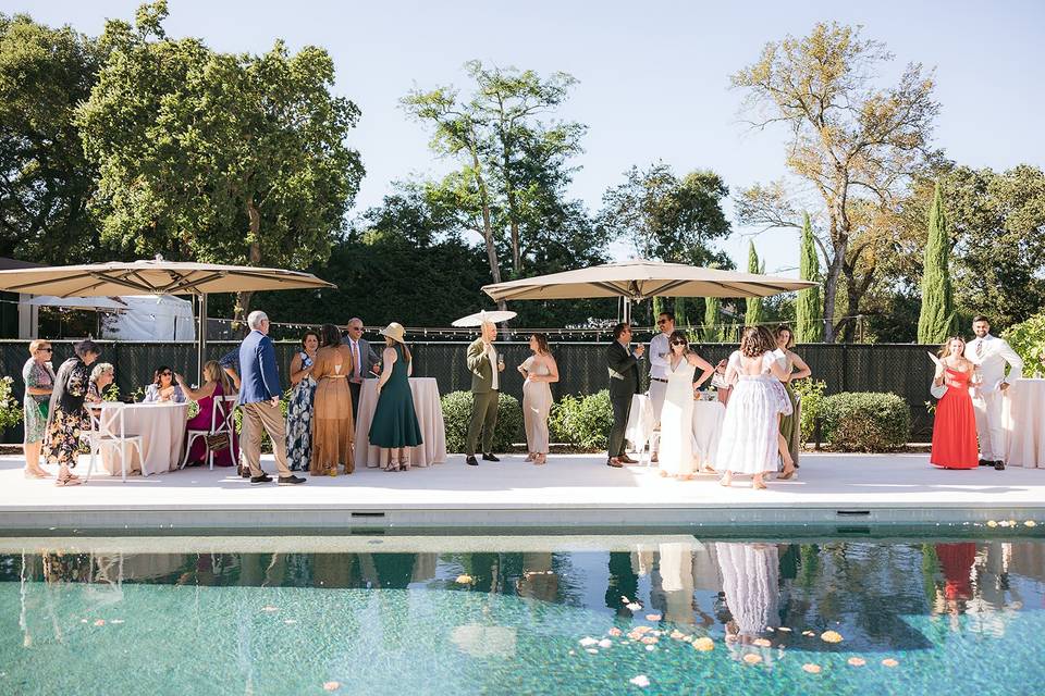 Poolside Cocktail hour