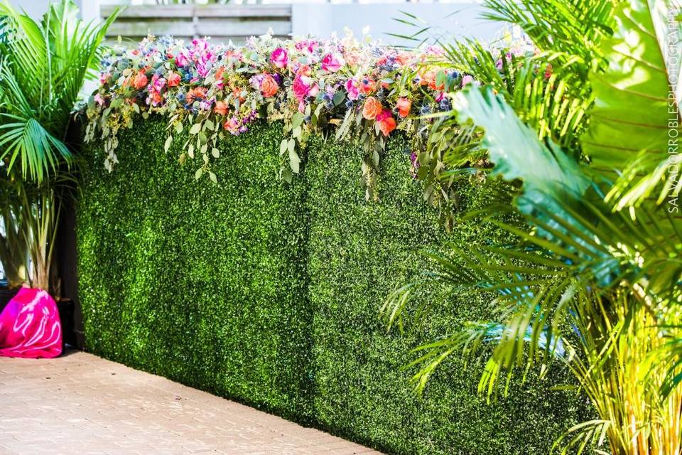 green wall help to cover ugly spaces to make look beautifull