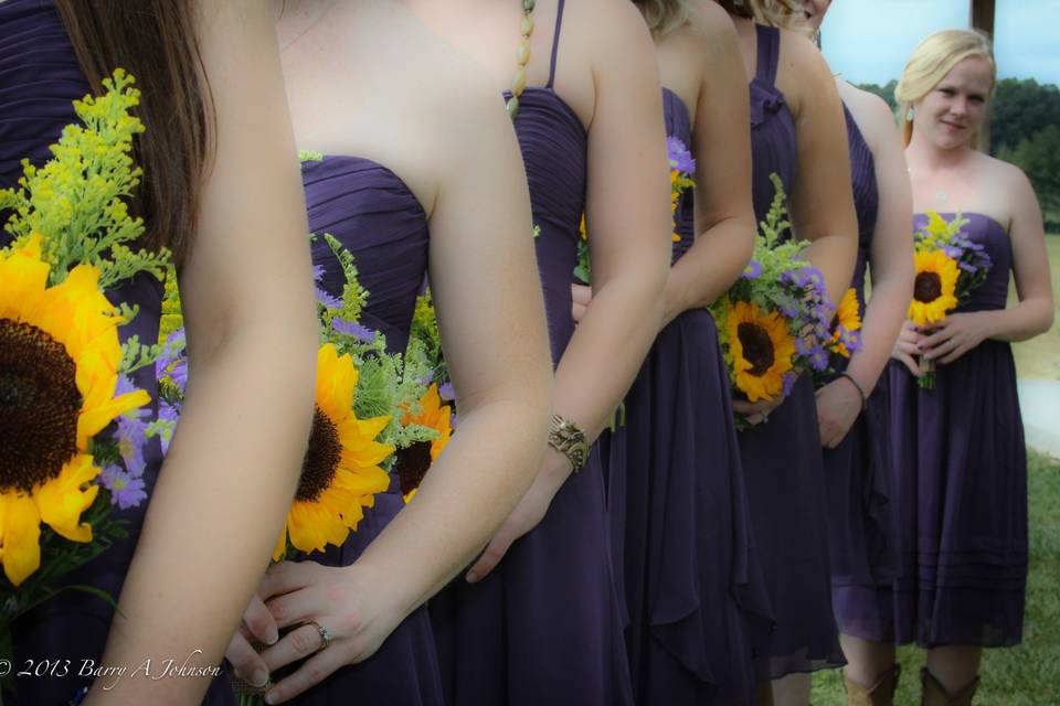 Barry A. Johnson Photography