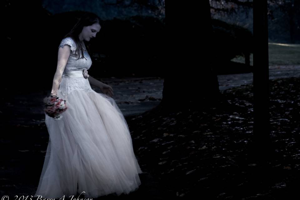 Barry A. Johnson Photography