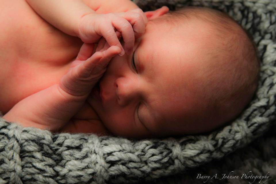 Barry A. Johnson Photography