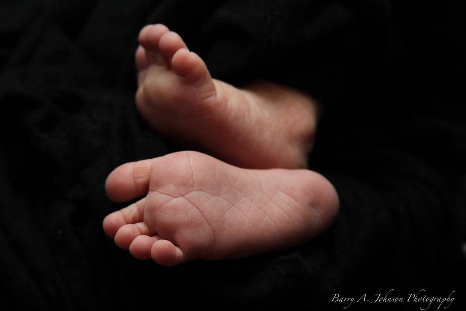 Barry A. Johnson Photography