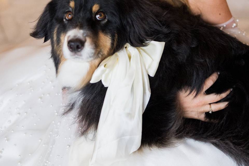 A bride and her dog