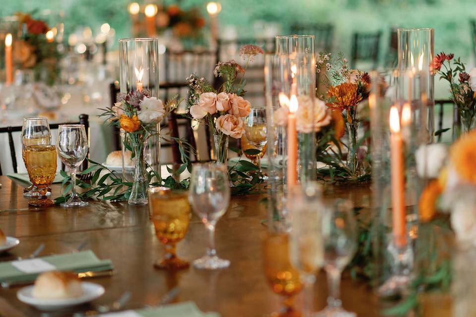 Alison Dunn Photography