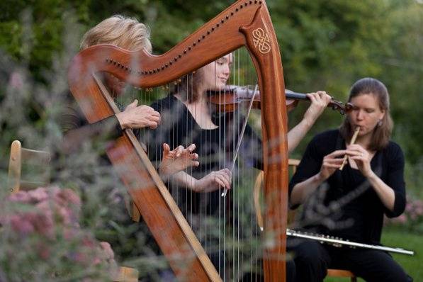 The musicians