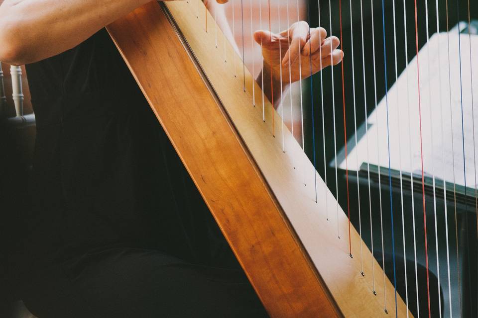 Playing the harp