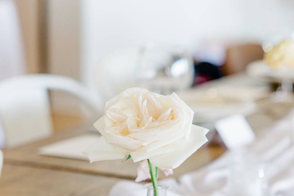 Reception Details