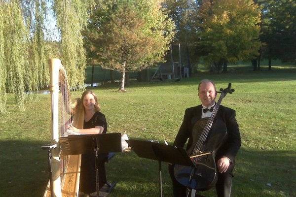 Harp and cello