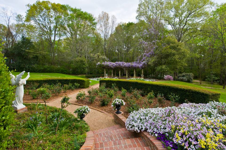 Garden area