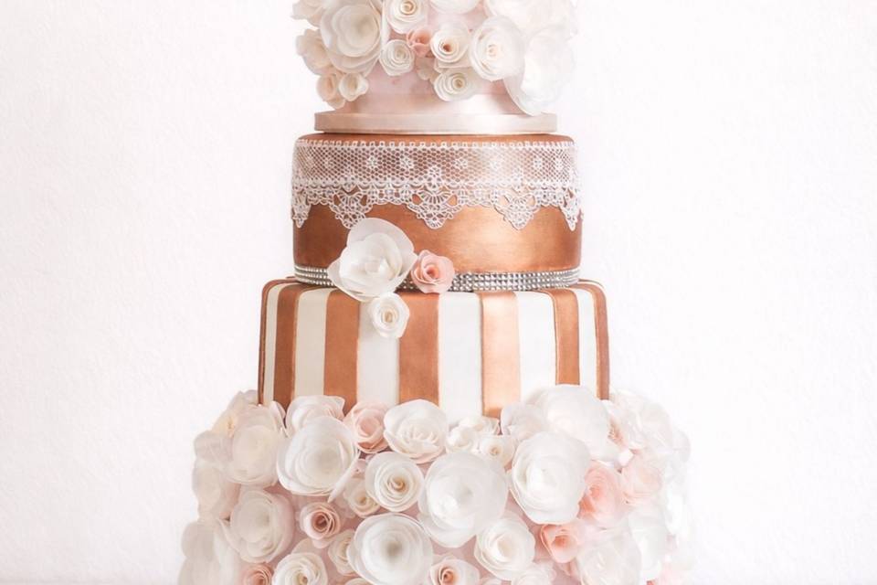 The Cake Studio FoCo