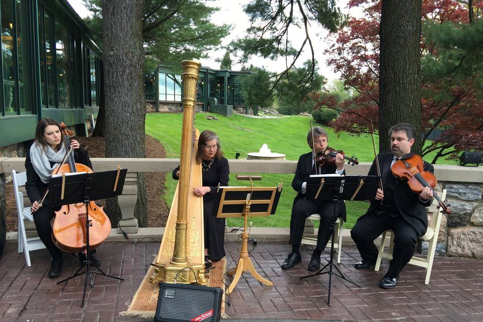 Classical Wedding Ceremony