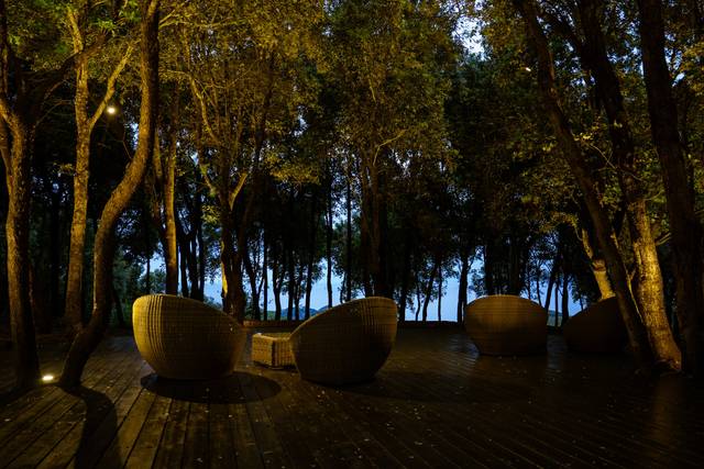 The zen terra with forest and