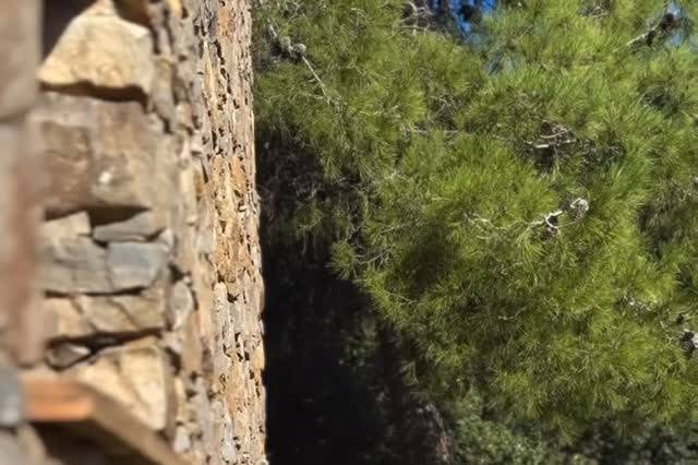 Villa Relais Il Termine Elba