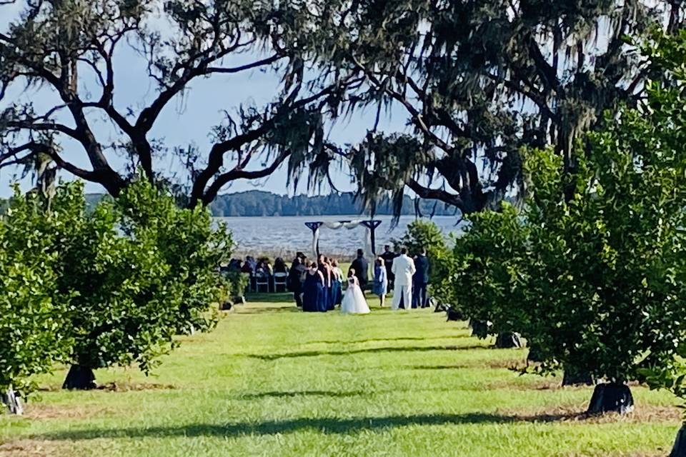 Wedding ceremony from afar