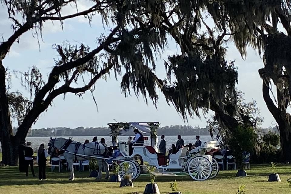 Ceremony under oak trees