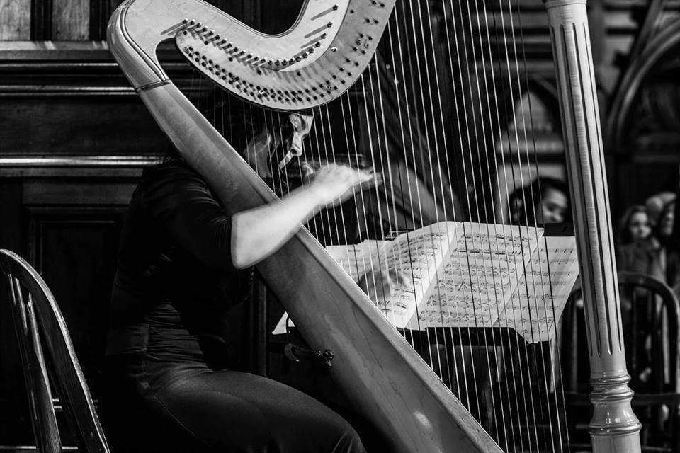 Cocktail hour harpist