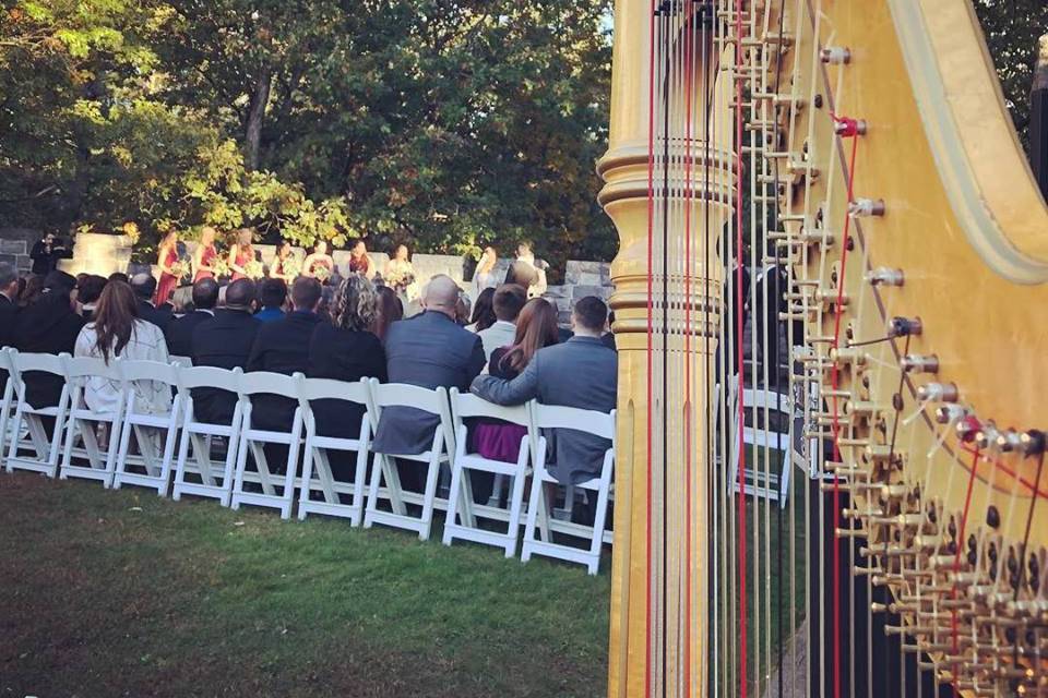 Ceremony harpist