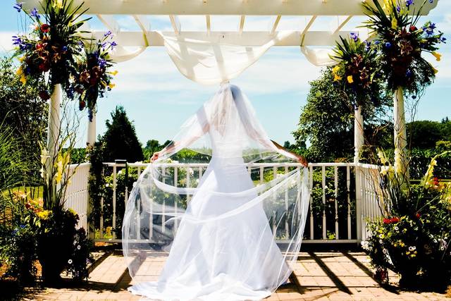 Carrie VanAlstine Photography