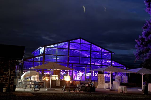 Atrium at night