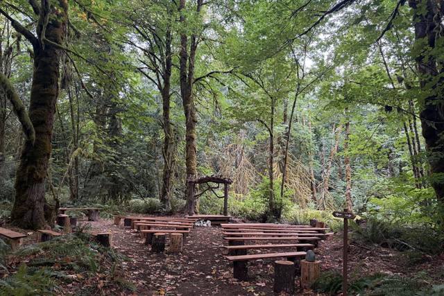 Forest Venue 