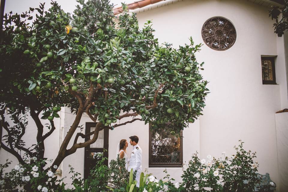 Romantic Rose Garden Shot