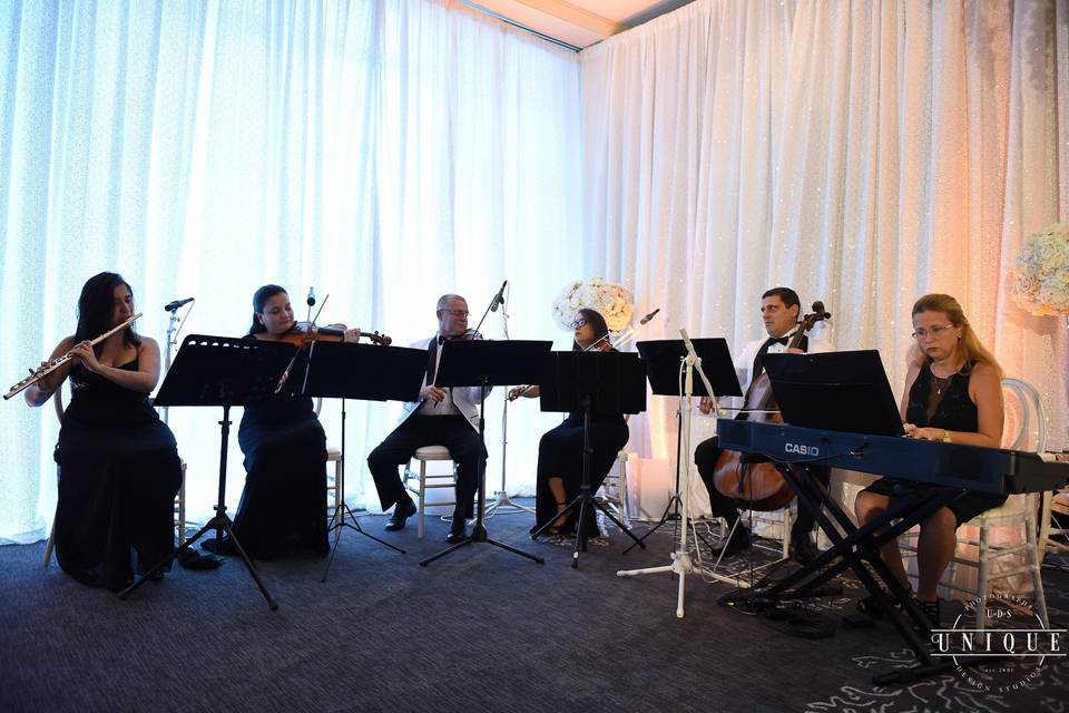 Wedding musicians