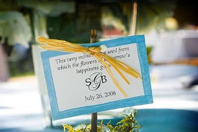 Guests at Bob & Susan's wedding each took home a small pot, painted in their wedding colors with wildflower seeds