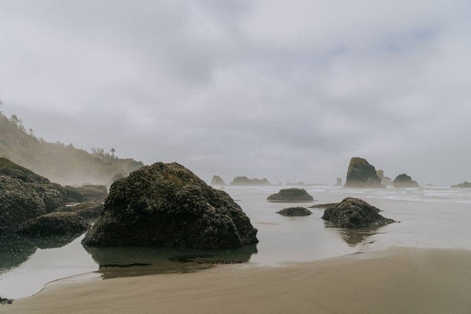 Oregon Coastal Elopement