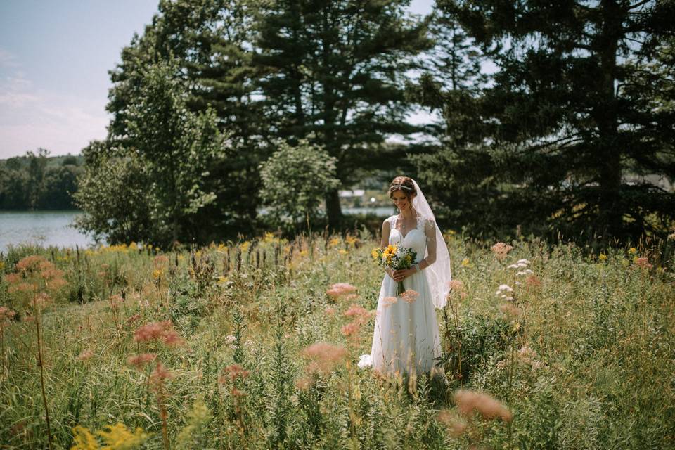 Bride in a meadow