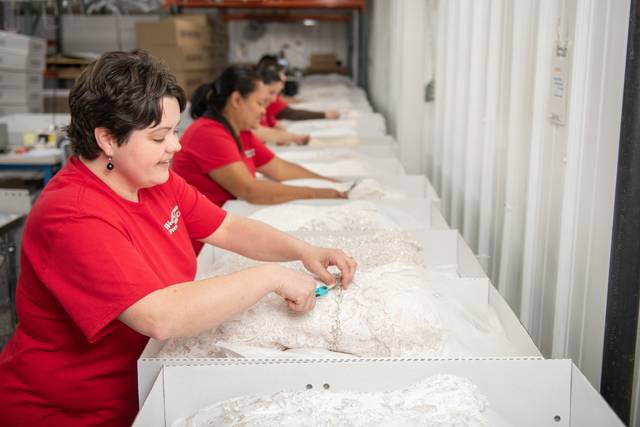 Wedding Gown Preservation
