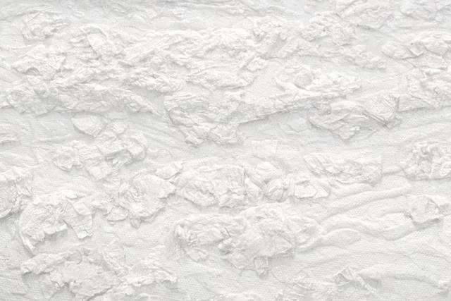 Textured petals beneath art.
