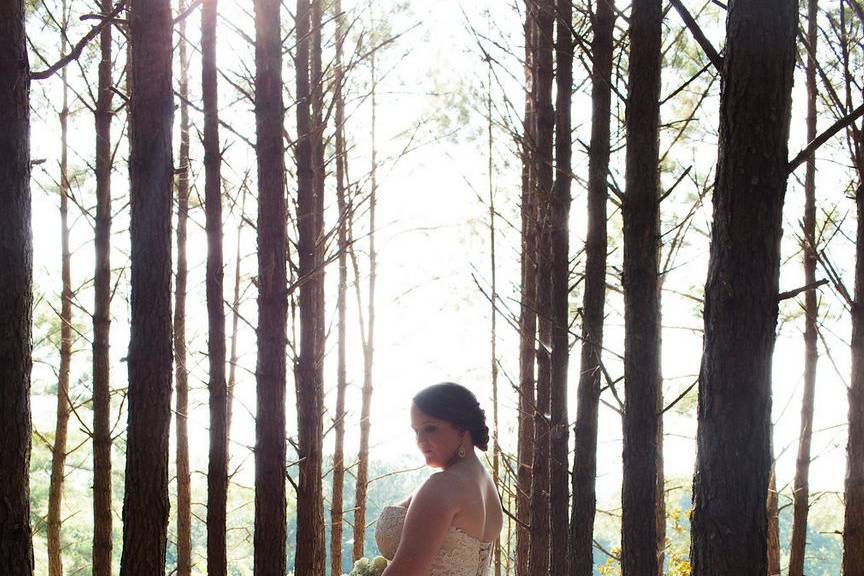 A gorgeous photo of one of our brides in the pine trees