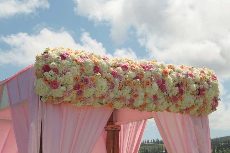 Soft Pink Charmuse Fabric Adorns this Bamboo Canopy topped with a lush floral border