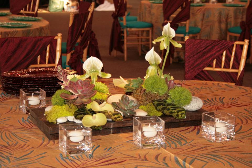 Wooden planks with Lady Slipper orchids, mosses and succulents
