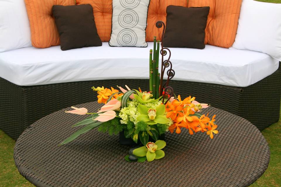 Lounge area with a modern tropical arrangement for the coffee table