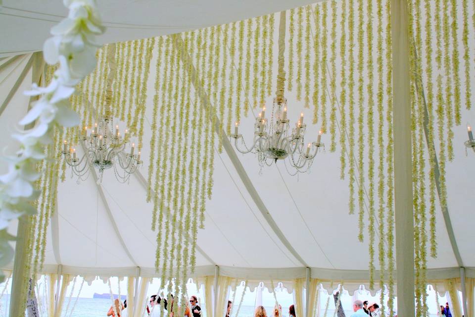 Strands of orchids to embellish the tent