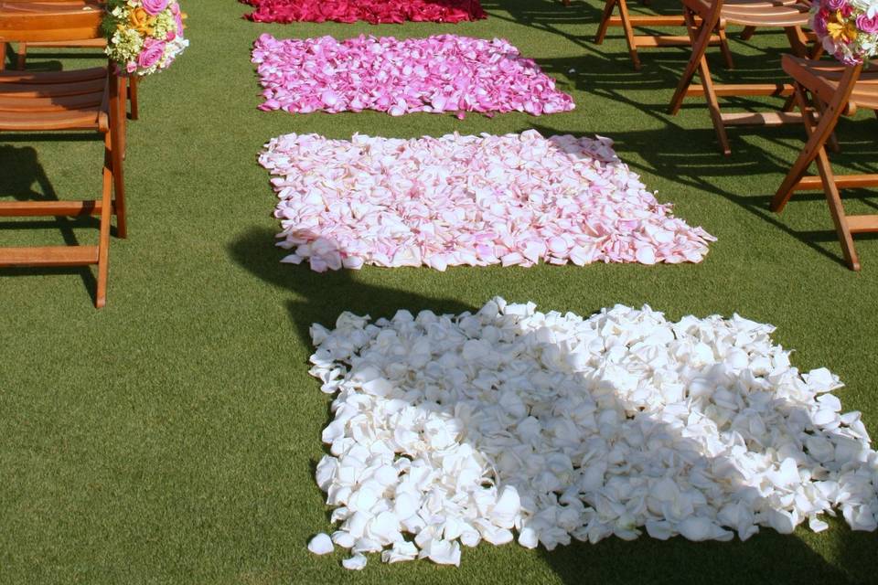 Color Blocked Pink Ombre Aisle