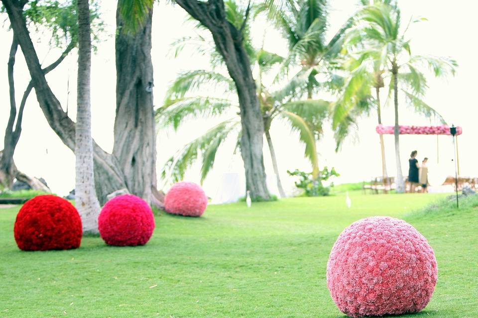 Floral Spheres lead the guests to the ceremony site