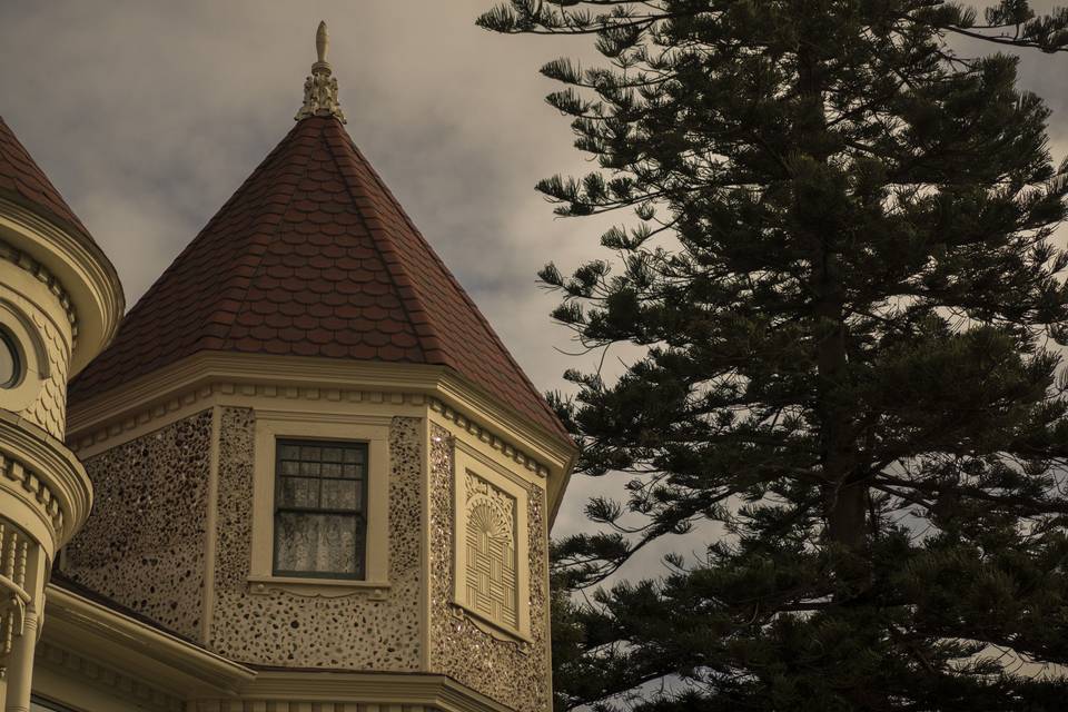 Angulo Photography