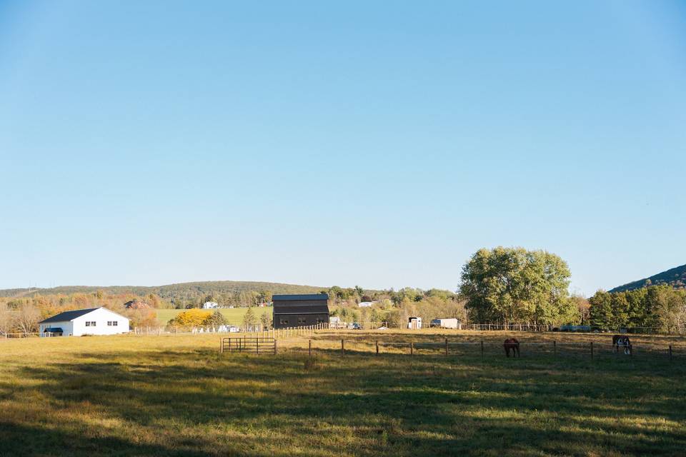 Concetta Farm