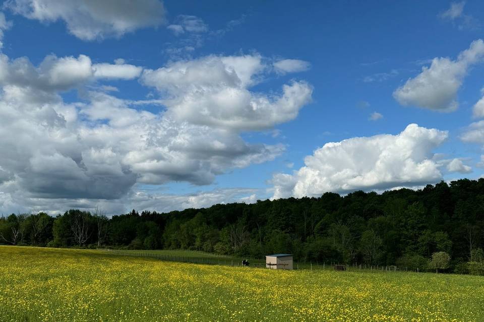Concetta Farm