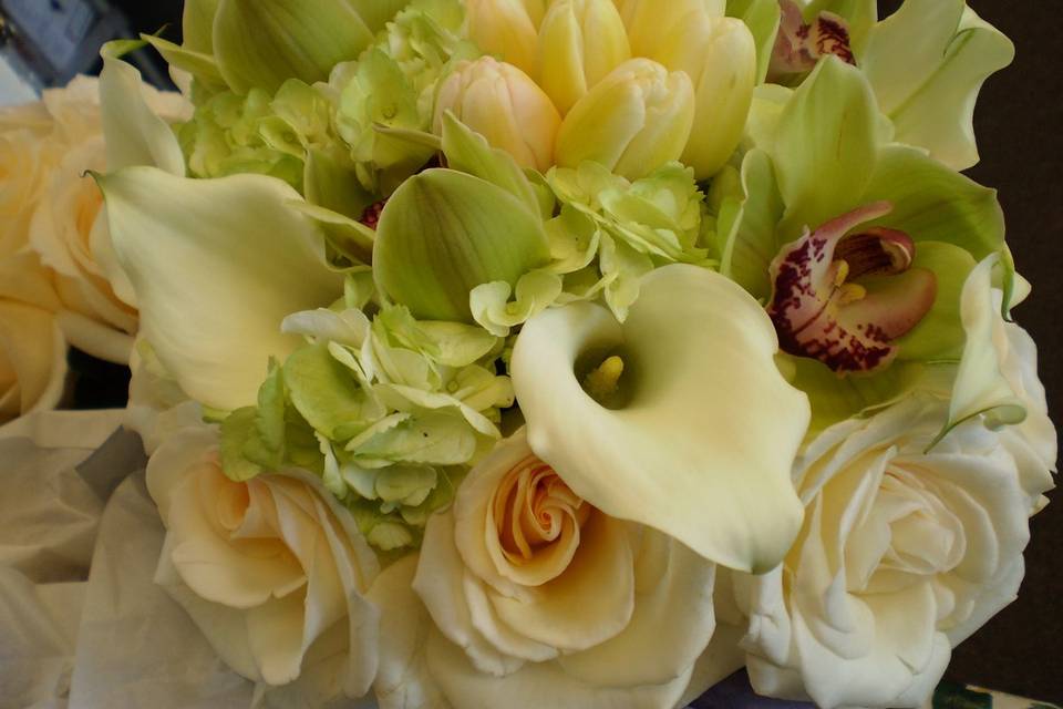 Green hydrangea, mini callas, tulips, green orchids, roses