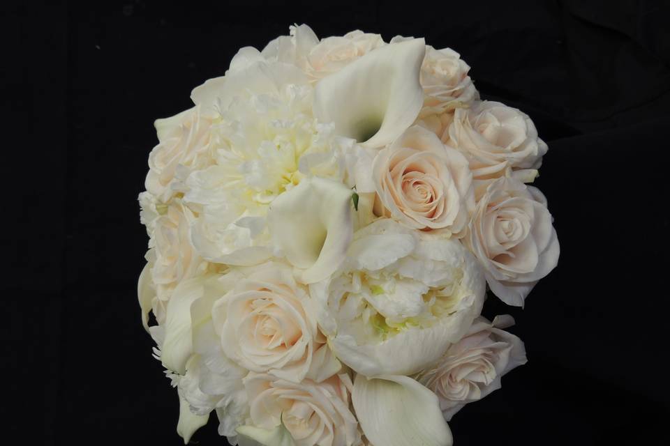 Ivory roses, white mini callas, white peonies