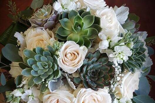 Vendela Roses & Succulents