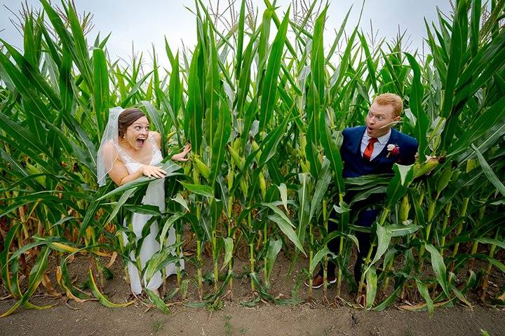 Corn Surprise